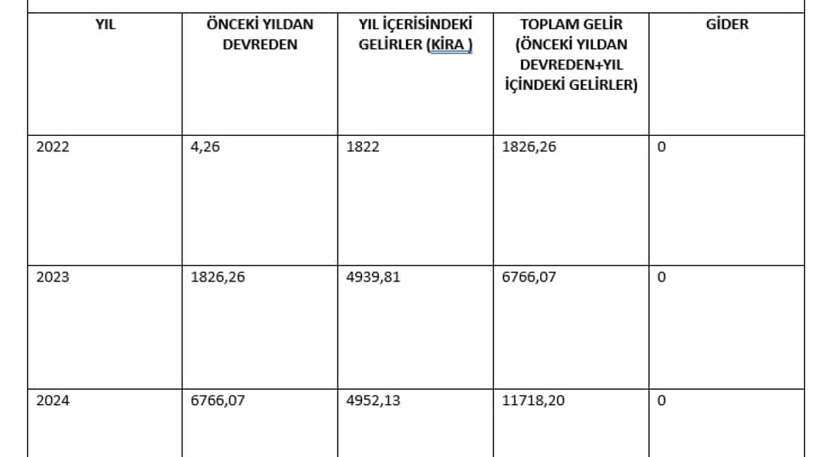 Okul Aile Birliği Gelir - Gider Tablosu